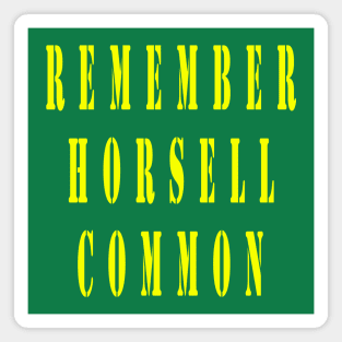 Remember Horsell Common Magnet